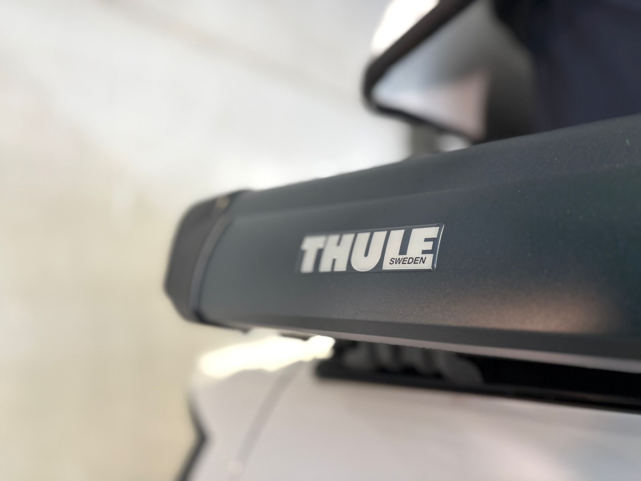 PHOTO-2026-02-19-11-30-33